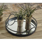 Adria Tray