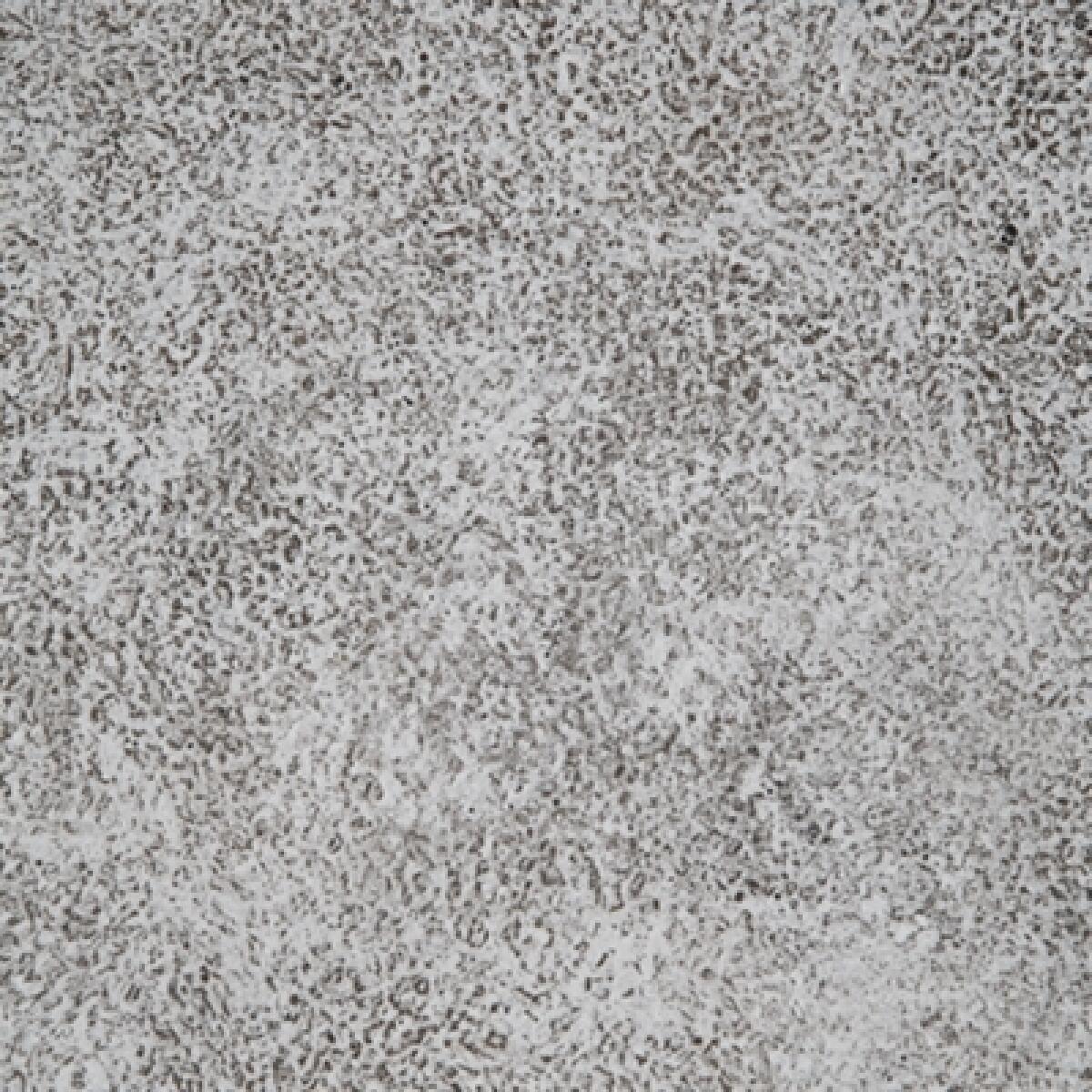 Moises Bowl - Image 7