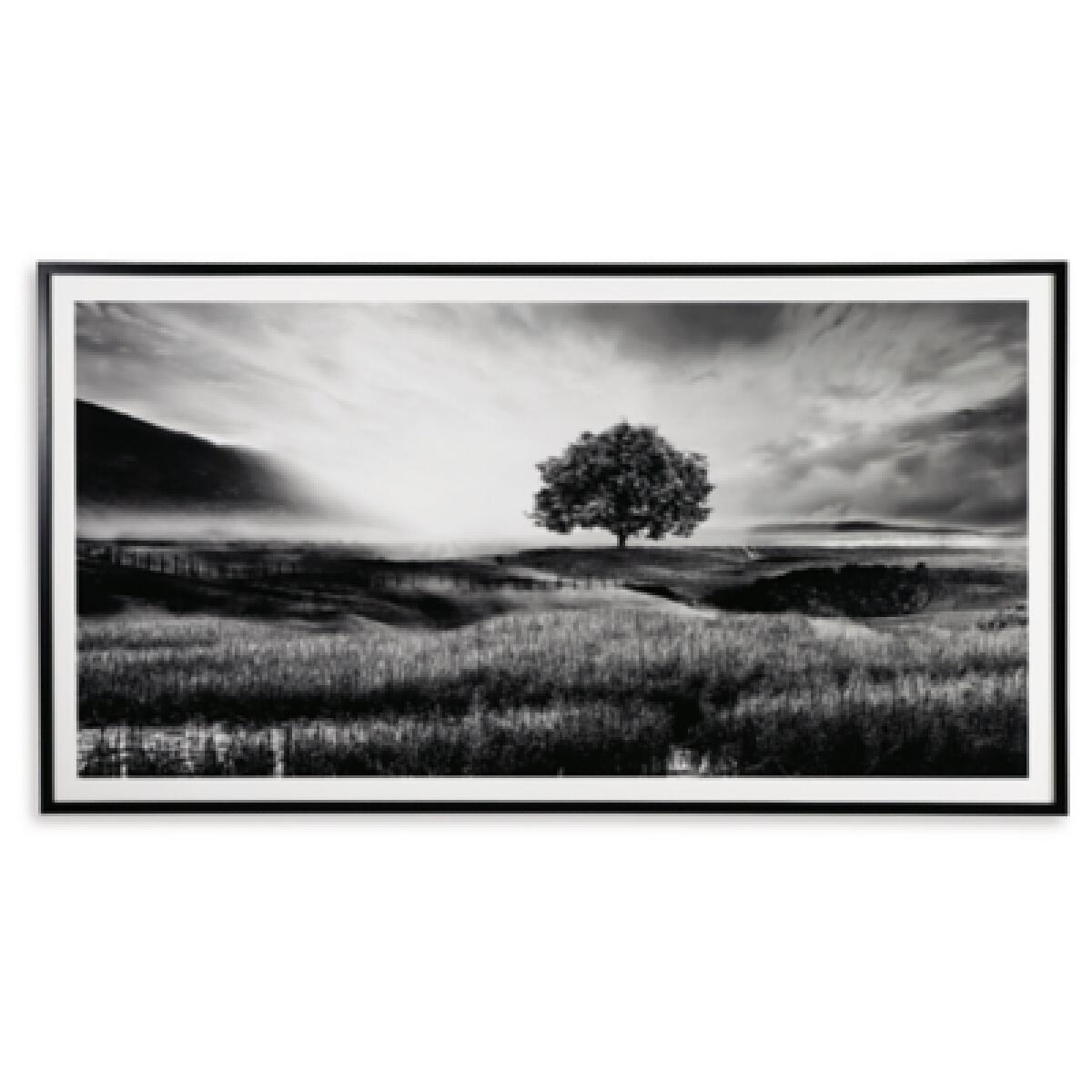 Deborland Wall Art - Image 2